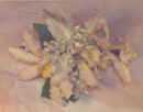 Adorno Flor 2.jpg (20988 bytes)